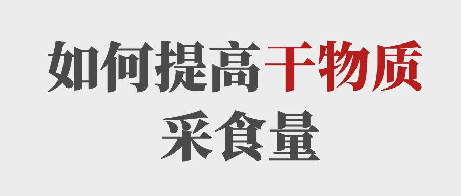 做到這5點提高育肥牛的干物質(zhì)采食量！